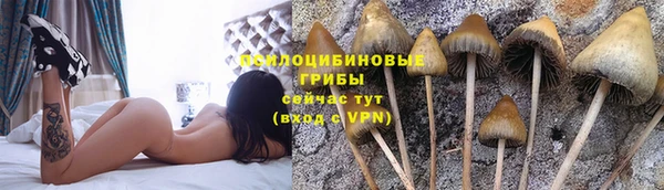 первитин Медногорск
