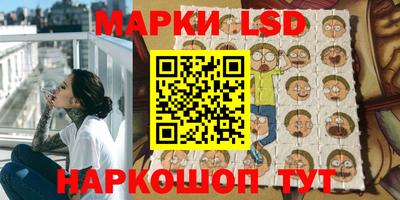 гидропоника Будённовск