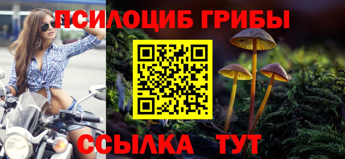 Псилоцибиновые грибы мухоморы  Псилоцибиновые грибы GOLDEN TEACHER  Джанкой  Вход с VPN 