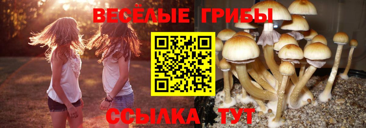 Кокаин  Бошки Шишки  25-NBOMe  Канабис  Джанкой  Меф  Вход с VPN  Гарик  ГЕРОИН  МДМА 