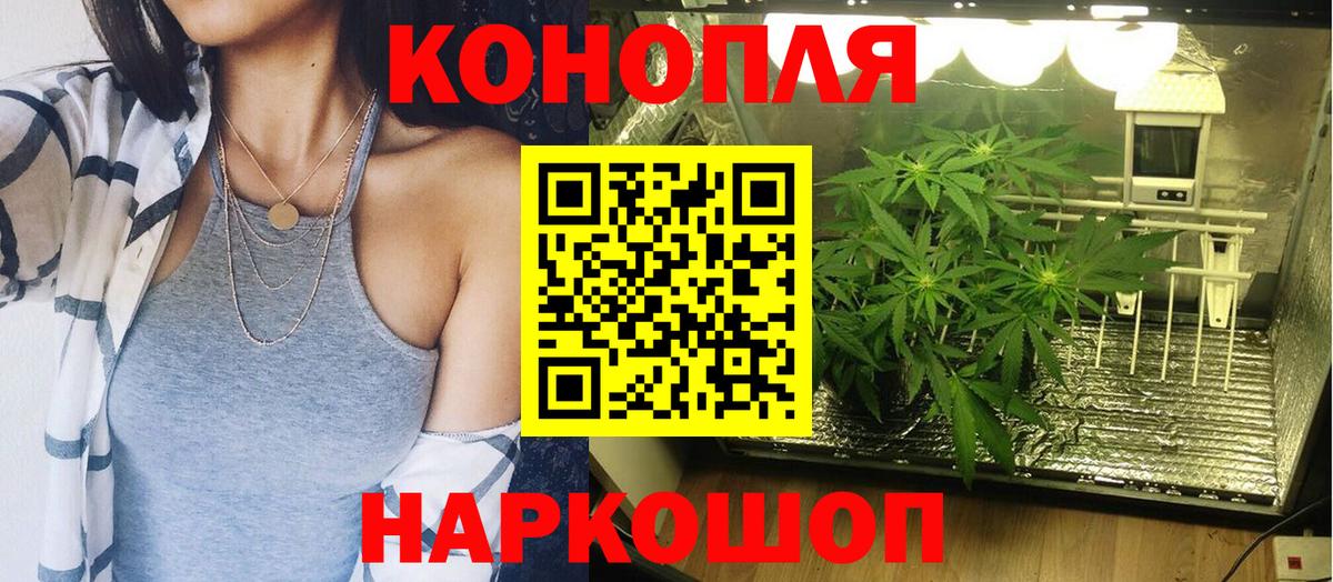 Бошки Шишки план Джанкой